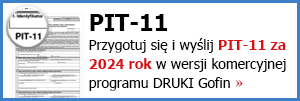 Jak sporządzić rozliczenie podatku dochodowego w Programie DRUKI Gofin